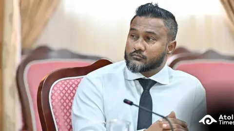 Ex-MP Sinan appointed Managing Director of AgroNAT